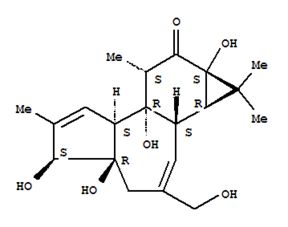 化工产品 casno.快速索引 2 第 220 页洛克化工网